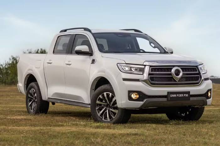 GWM Poer P30